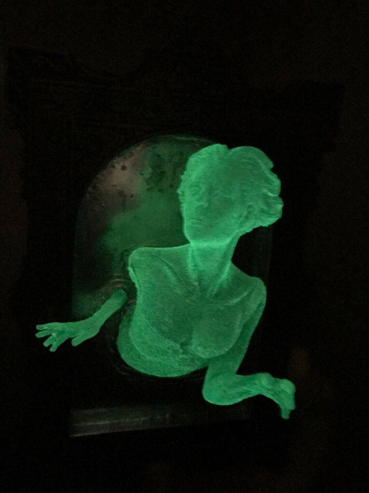 Enchanted Victorian Ghost Mirror Plaque - Glows in the Dark!